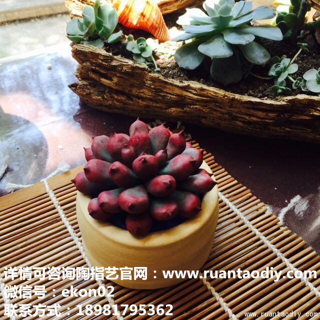 針對兒童的創(chuàng)業(yè)項目_1