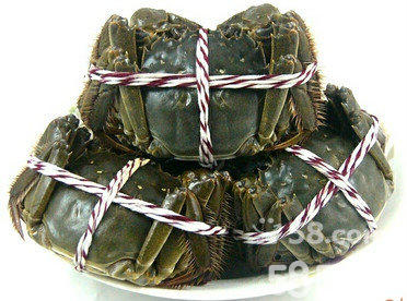 蘇州蓮花島大閘蟹攻略（圖）_1