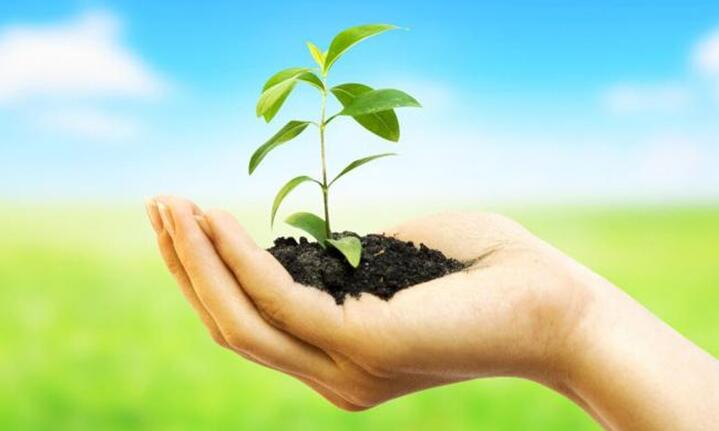 加盟什么涂料品牌才能獲得事業(yè)成功?_1