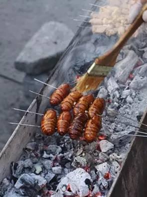 正宗燒烤技術(shù)配方，核心燒烤技術(shù)配方（圖）_4