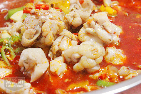 去哪里學(xué)香辣跳跳蛙技術(shù)正宗（圖）_1