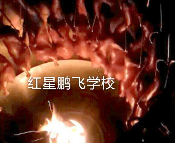 正宗北京烤鴨技術(shù)培訓(xùn)_1