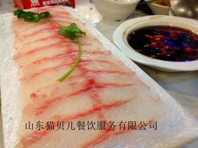 北京斑魚火鍋加盟選擇貓貝兒，北京斑魚火鍋連鎖店（圖）_1