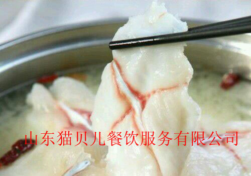 北京斑魚火鍋加盟選擇貓貝兒，北京斑魚火鍋連鎖店（圖）_2