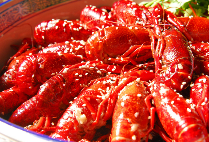 惠州哪里可以學做麻辣小龍蝦（圖）_1