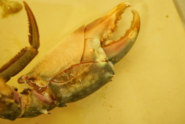 潮州砂鍋粥技術(shù)配方，正宗砂鍋粥技術(shù)配方（圖）_8