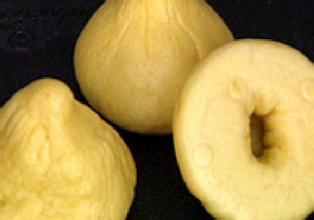 廣東包子培訓(xùn)的地方（圖）_1