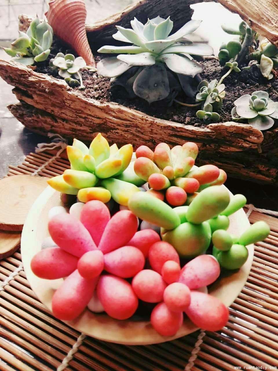 創(chuàng)意生活館手工陶藝捏制多肉植物新品（圖）_2