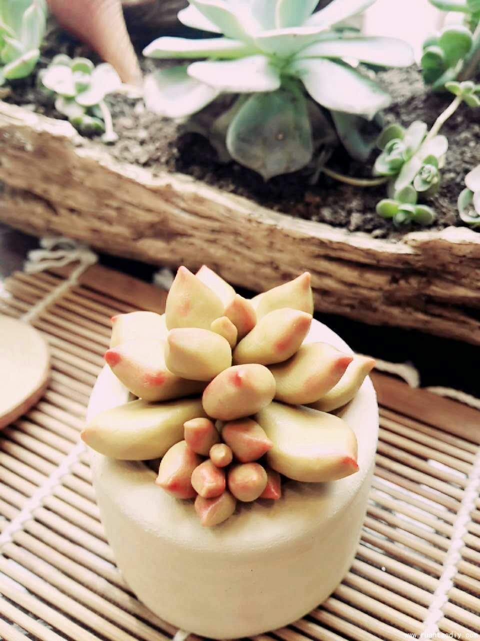 創(chuàng)意生活館手工陶藝捏制多肉植物新品（圖）_3