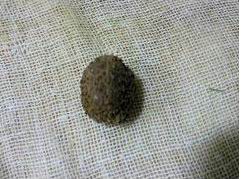 正宗常德醬板鴨技術(shù)配方，醬板鴨技術(shù)配方（圖）_8