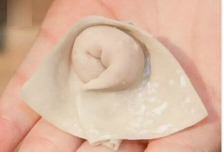 哪里有餛飩學（圖）_21