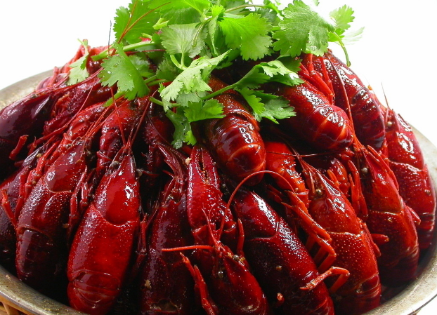 特色小龍蝦技術(shù)培訓(xùn)（圖）_1