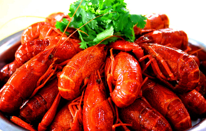 特色小龍蝦技術(shù)培訓(xùn)（圖）_4