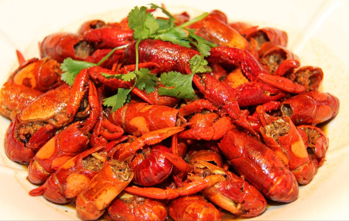 特色小龍蝦技術(shù)培訓(xùn)（圖）_5