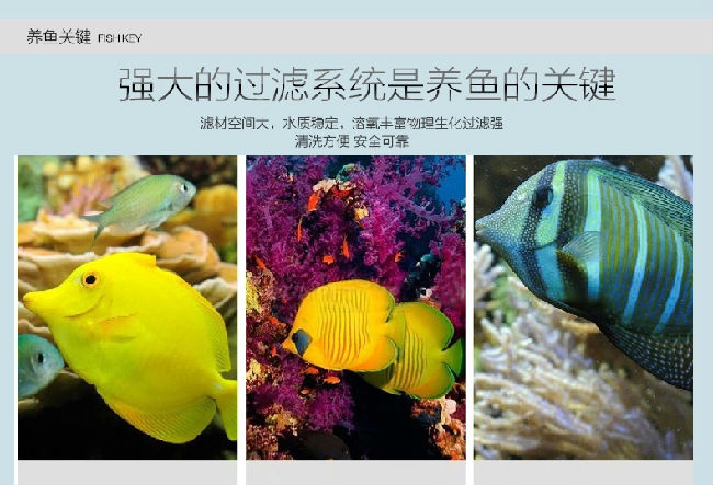 爱喜豆水族加盟费用,爱喜豆水族加盟店,爱喜豆水族招商加盟条件_1