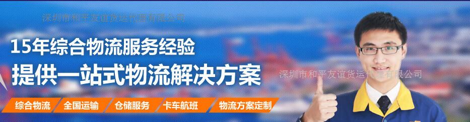 和平友谊中港进口报关/中港运输专线服务公司（图）_1