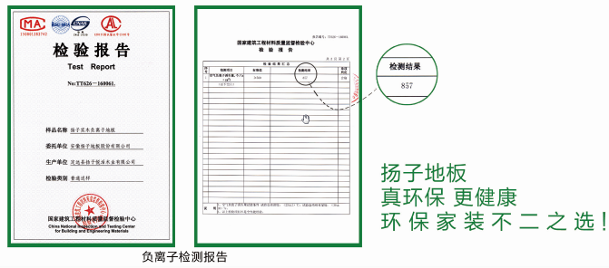 揚(yáng)子地板:“+負(fù)氧離子 住天然氧吧”（圖）_3