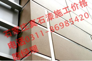 河北專家教您從真石漆樣板效果看價(jià)格_1