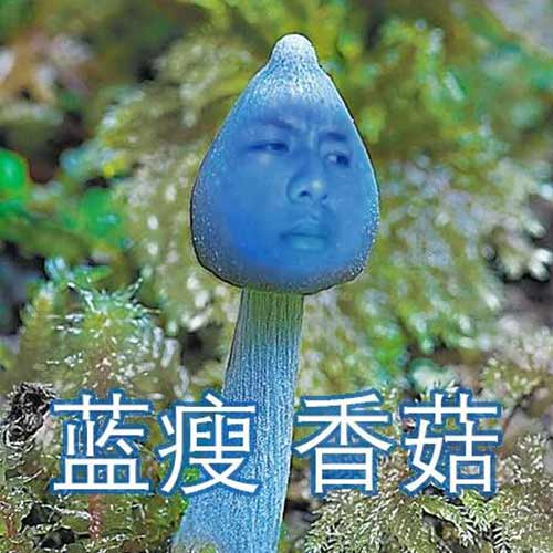 藍(lán)瘦香菇 環(huán)保合金催化技術(shù)讓電鍍廠家不在藍(lán)瘦（圖）_1