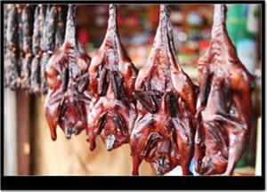 湖南正宗醬板鴨技術(shù)哪里有培訓(xùn)（圖）_1