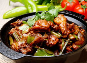 可以學(xué)特色菜雞公煲技術(shù)的地方（圖）_1