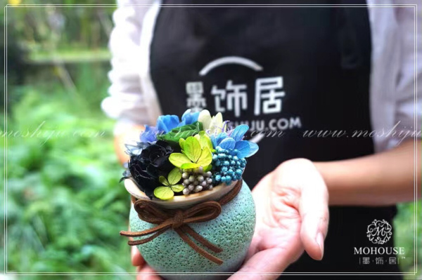 墨飾居創(chuàng)意花店的伴手小禮—盆栽永生（圖）_1