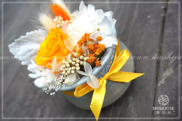 墨飾居創(chuàng)意花店的伴手小禮—盆栽永生（圖）_2