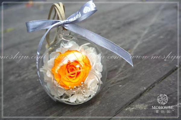 適合大學生的加盟項目—墨飾居創(chuàng)意花店（圖）_3