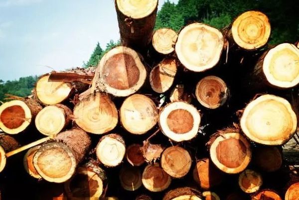 【德瑯·創(chuàng)始人】從匠心入匠境，企業(yè)20年輕奢發(fā)展不忘初心（圖）_4