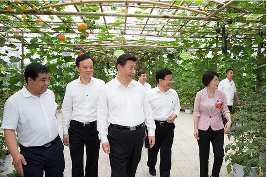 阿門阿前一棵葡萄樹下的企業(yè)（圖）_2