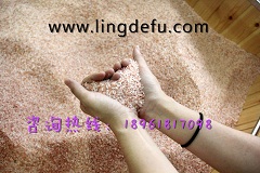 驚呆！各行各業(yè)紛紛加入鹽蒸行業(yè)_1