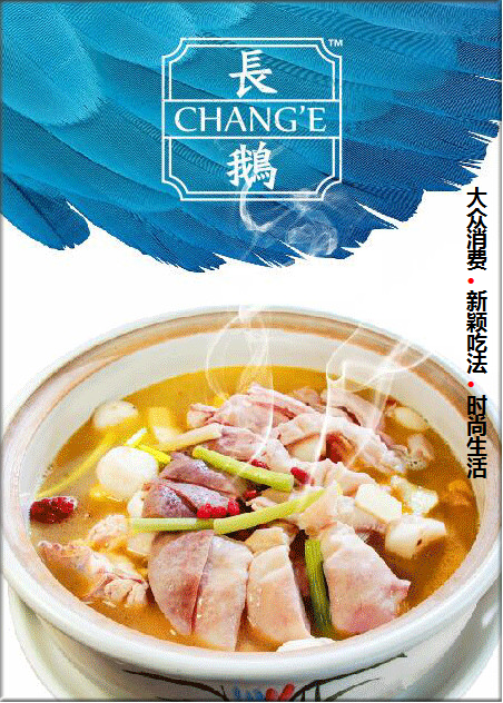 雙重分析，讓你更加了解長(zhǎng)鵝養(yǎng)生湯鍋老鵝湯加盟（圖）_1