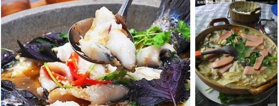 中山石鍋魚培訓(xùn)（圖）_1