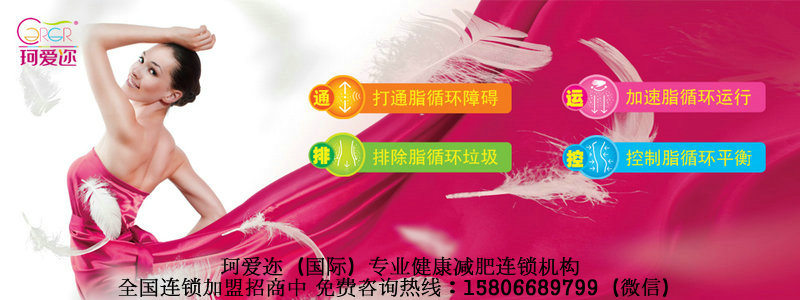 養(yǎng)生減肥加盟_1