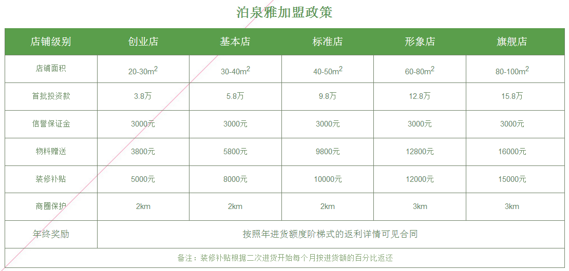 泊泉雅投资分析_1