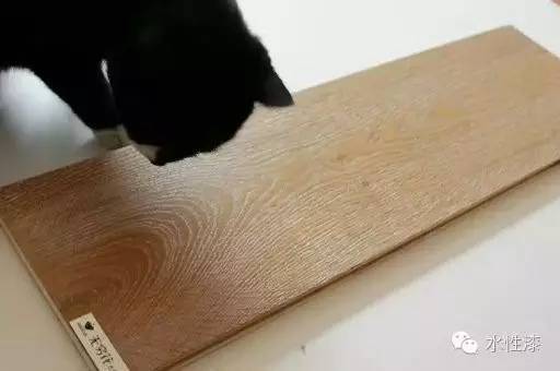 水漆與貓的故事（圖）_4