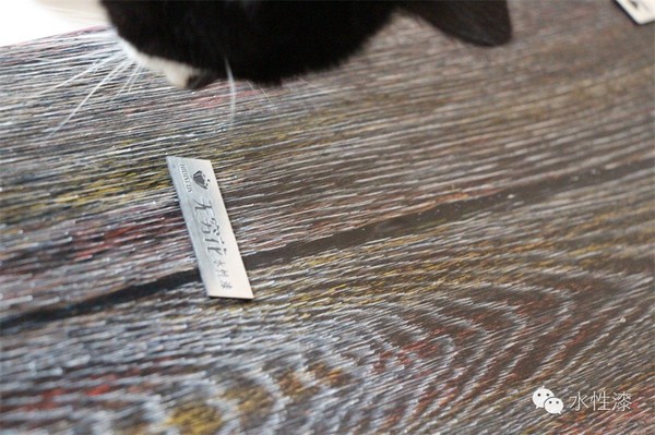 水漆與貓的故事（圖）_5