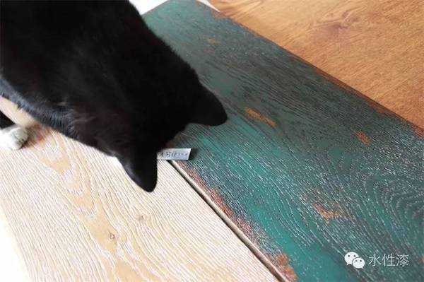 水漆與貓的故事（圖）_7