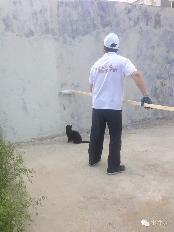 水漆與貓的故事（圖）_9