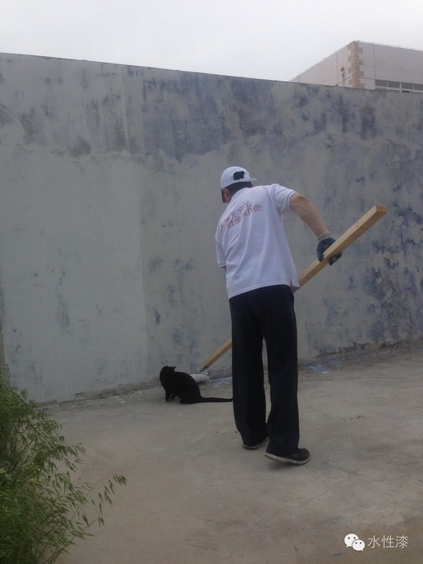 水漆與貓的故事（圖）_10