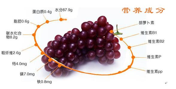 葡萄與健康_2