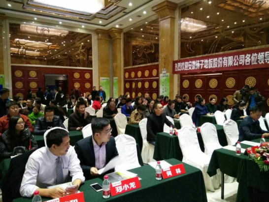 新品新氣象  再創(chuàng)2017新輝煌（圖）_4