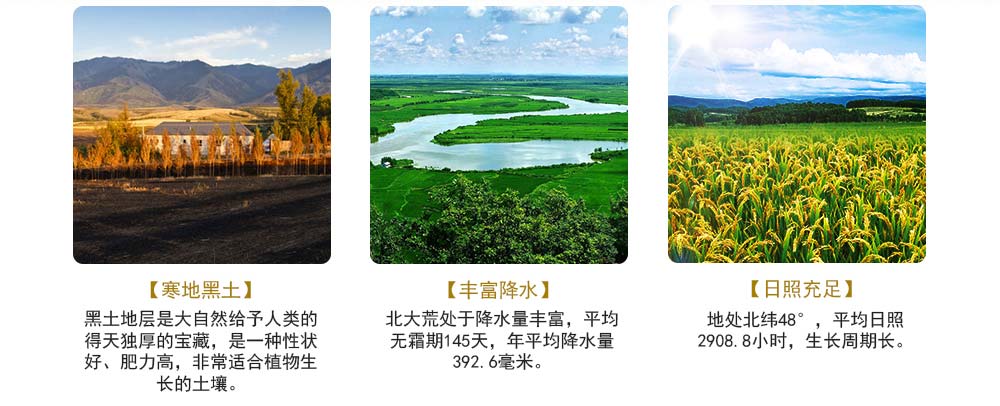 五谷雜糧批發(fā)價(jià)格表-烘焙五谷雜糧批發(fā)中心_1