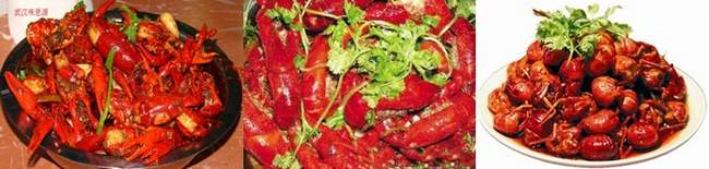 長沙去哪里有油燜大蝦培訓(xùn)（圖）_2