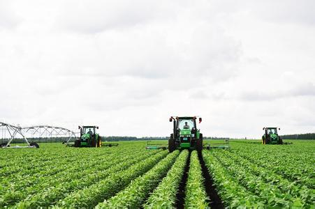 五谷雜糧店加盟支持-五谷雜糧加盟店-谷雜糧連鎖店_2