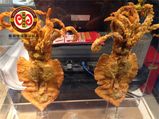 去哪里有轟炸魷魚學(xué)（圖）_4