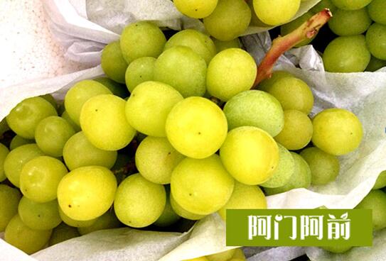 陽光玫瑰葡萄_1