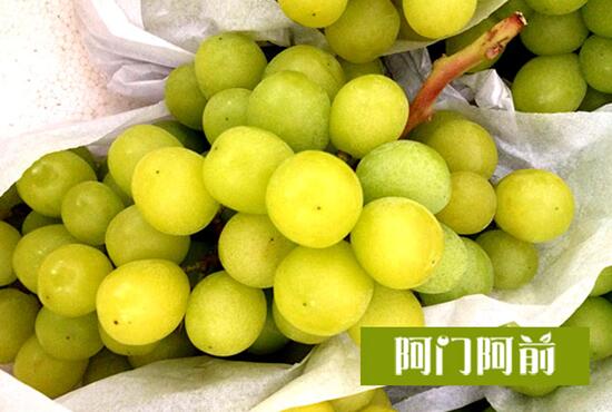 陽光玫瑰葡萄（圖）_1