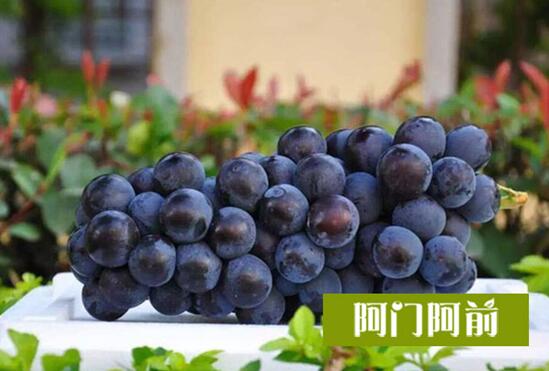 葡萄的藥用功效_2