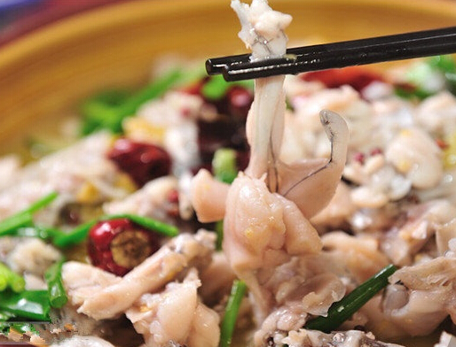 江西哪里有泡椒田雞學(xué)（圖）_1